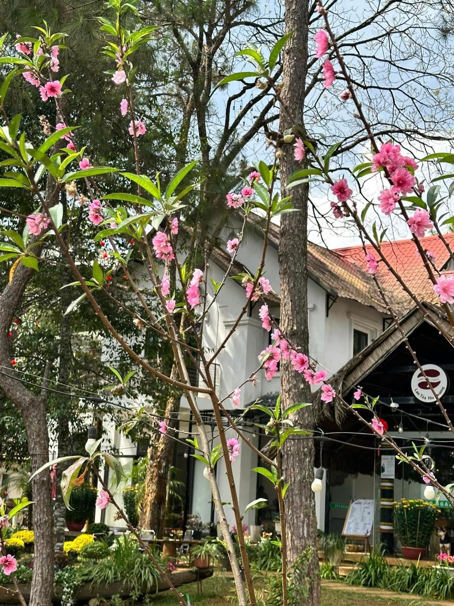 S'Nghe Homestay Mang Den Kon Von Kla Eksteriør billede
